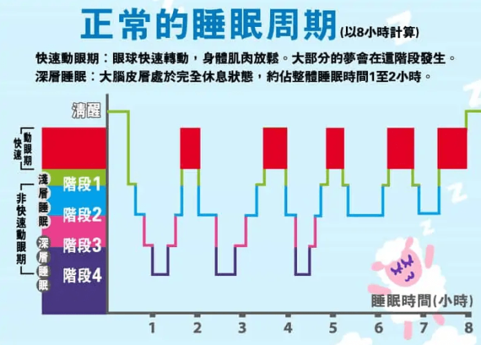 深層睡眠需要睡多久 深層睡眠需要睡多久