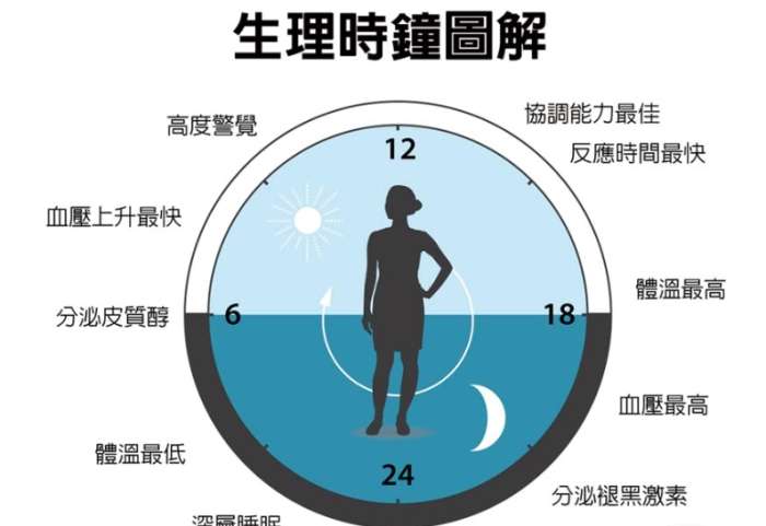 生理時鐘的定義 生理時鐘的定義